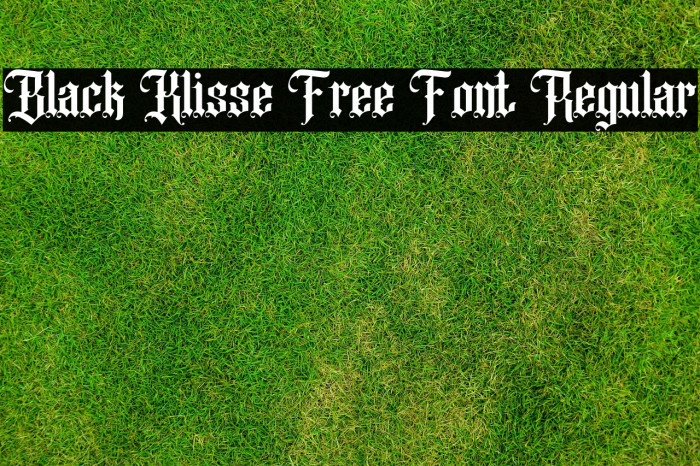 Black Klisse Free Font Regular Example 3