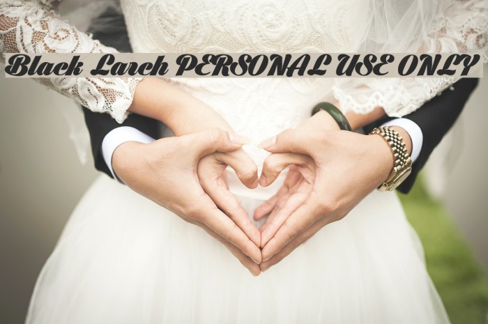 Black Larch PERSONAL USE ONLY Example 2