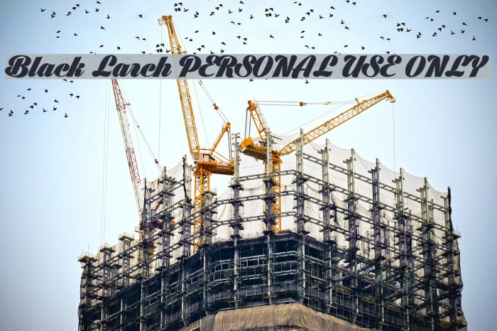 Black Larch PERSONAL USE ONLY Example 3