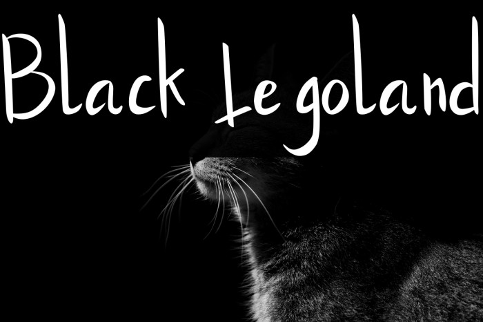 Black Legoland Example 2