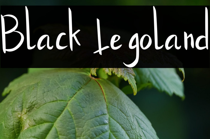 Black Legoland Example 3