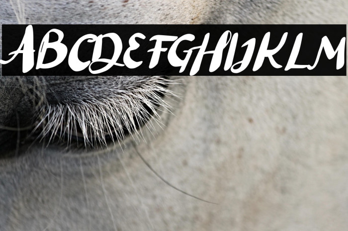 Black Lett Example 1