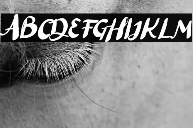 Black Lett Font examples