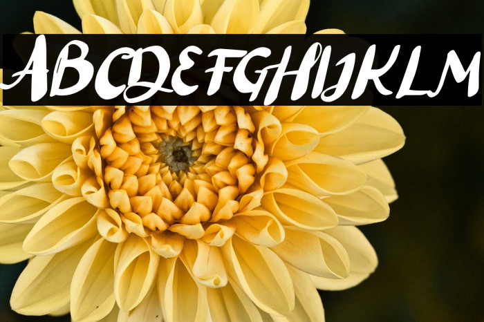 Black Lett Example 2