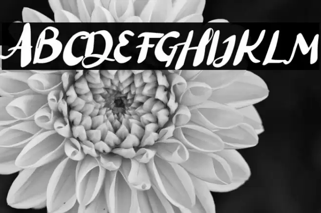 Black Lett Font examples