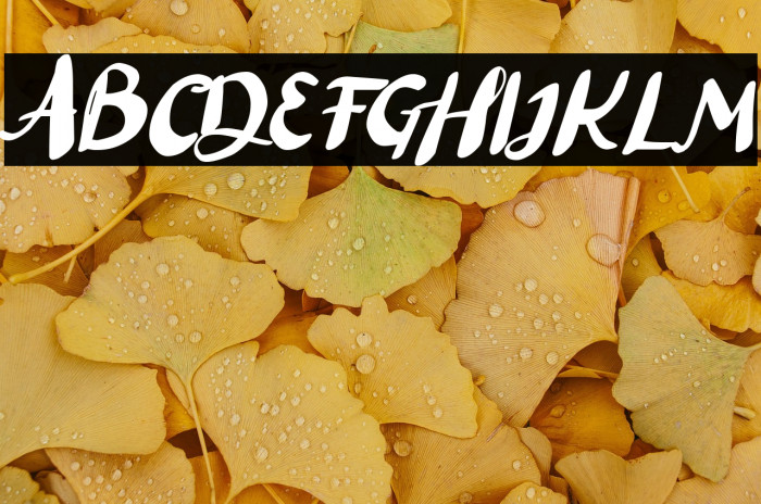 Black Lett Example 3