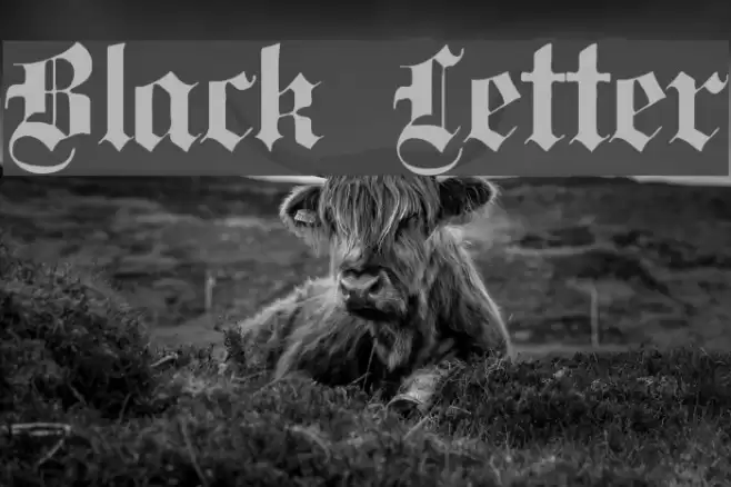 Black Letter Font examples