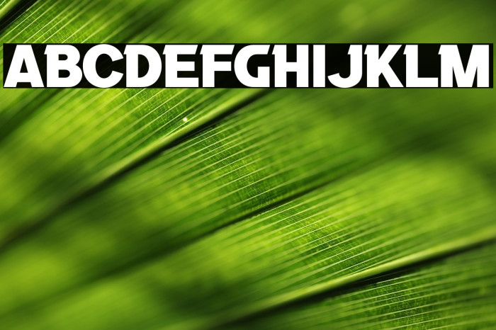 Black Lives Example 2