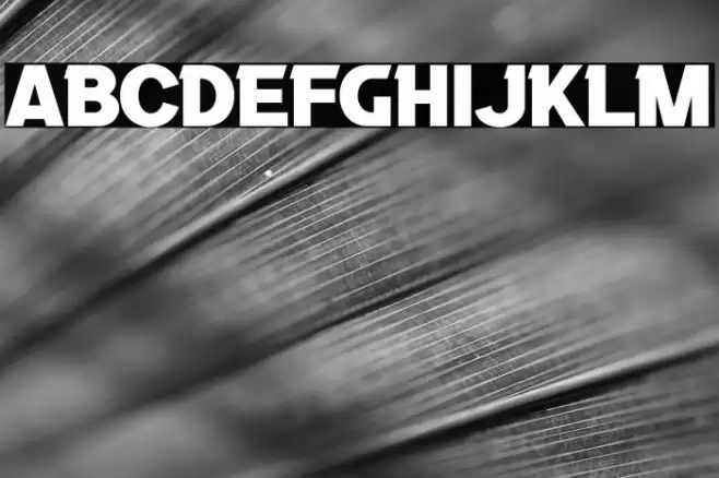 Black Lives Font examples