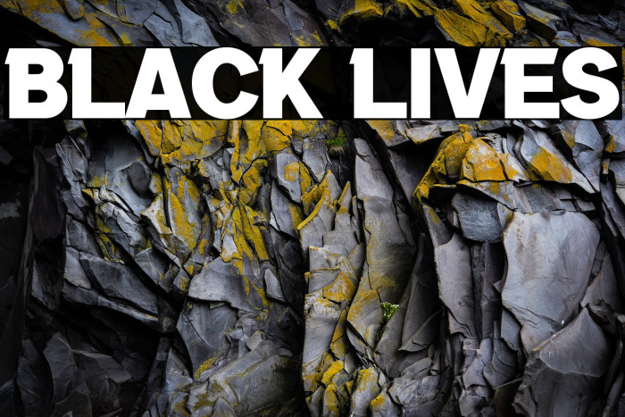 Black Lives Example 2