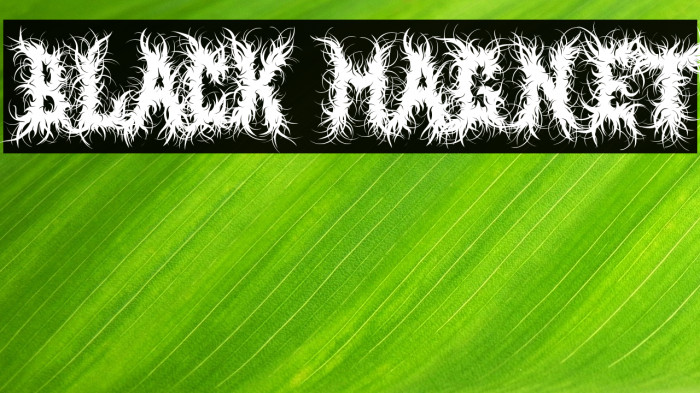 Black Magnet Example 2