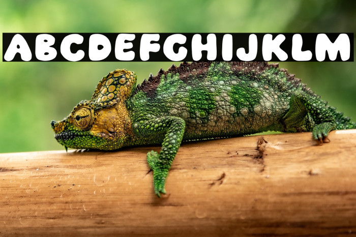 Black Magnum Example 1