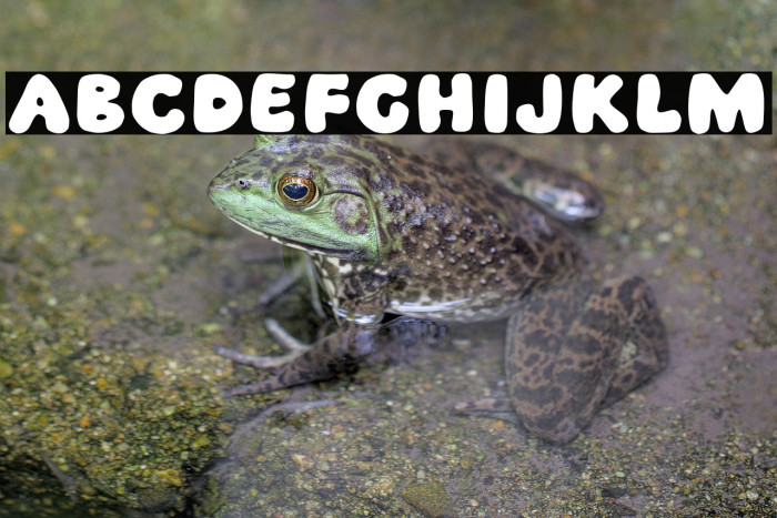 Black Magnum Example 2