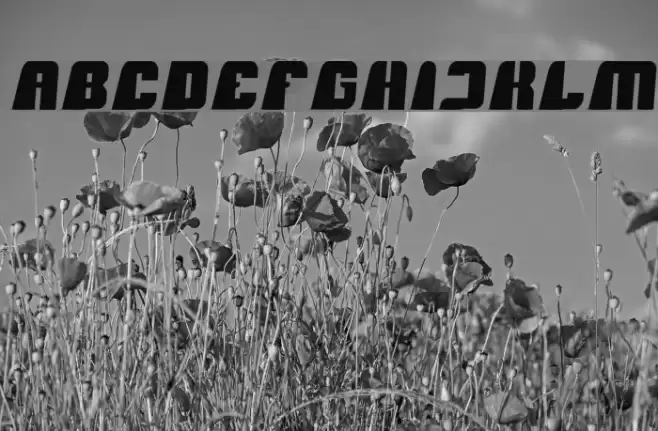 Black Mamba-Light Font examples