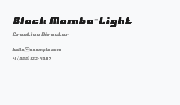 Black Mamba-Light Business Card
