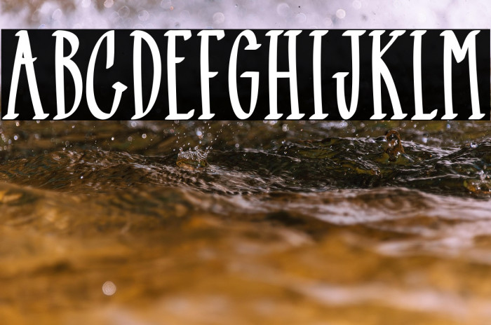 Black Mamba Example 1