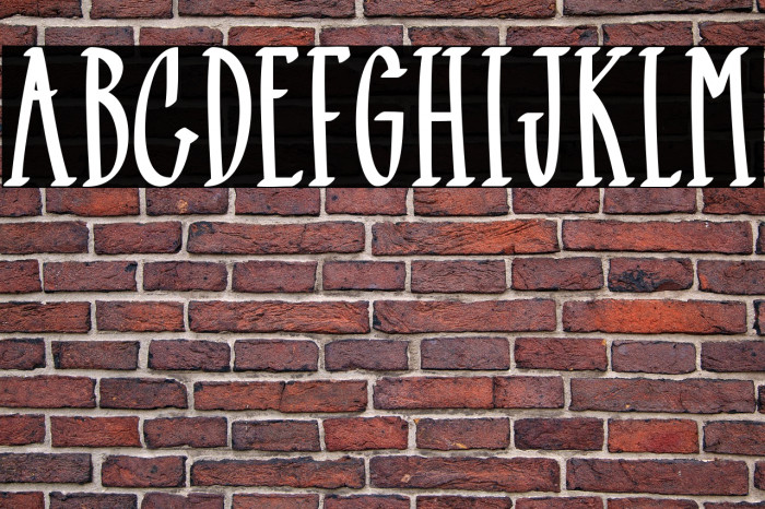 Black Mamba Example 2