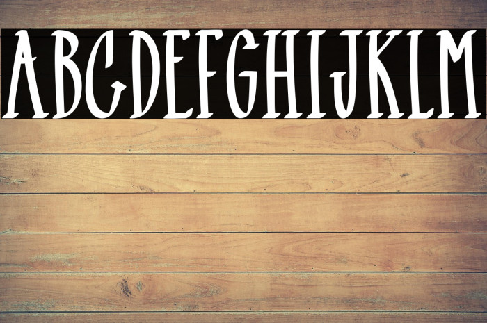 Black Mamba Example 3