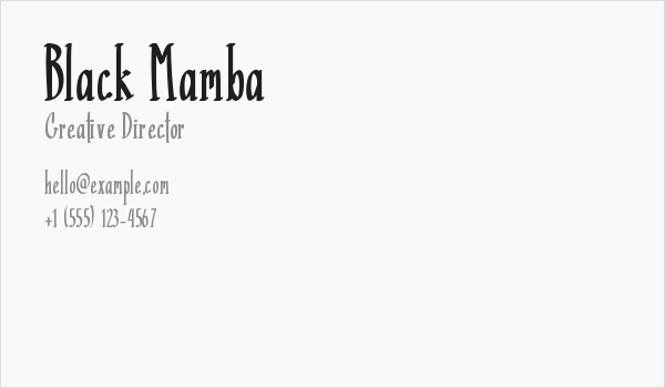 Black Mamba Business Card