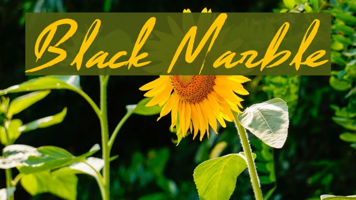 Black Marble Font examples