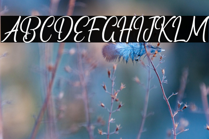 Black Matland Example 1