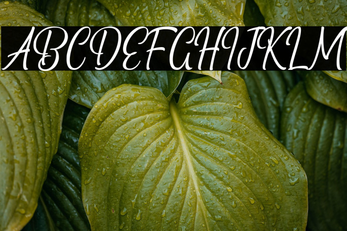 Black Matland Example 3