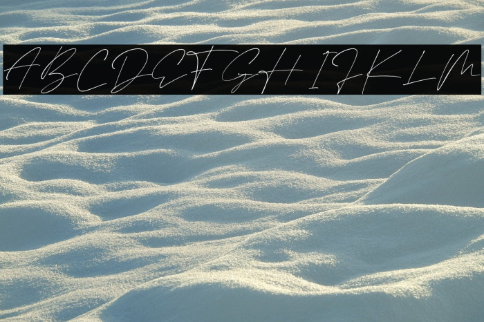 Black Matteo Example 1