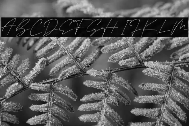 Black Matteo Font examples