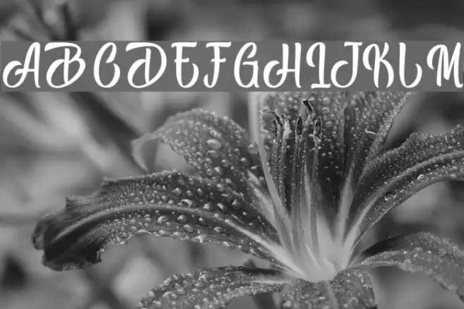 Black Melody - Personal Use Font examples