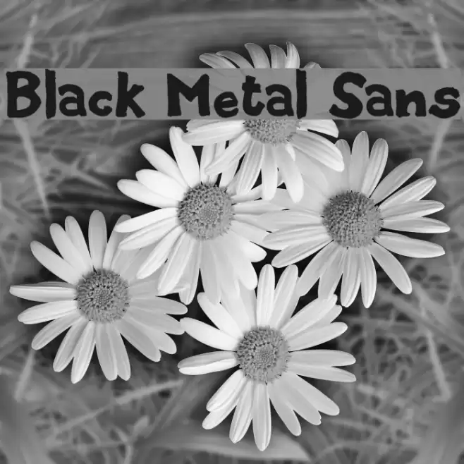Black Metal Sans Font examples
