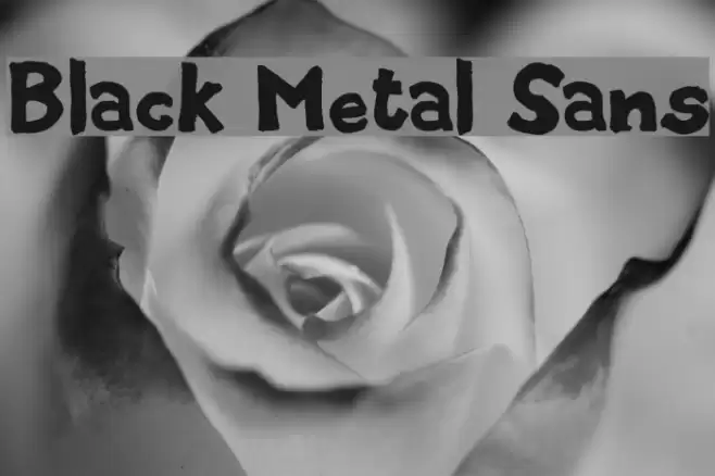 Black Metal Sans Font examples