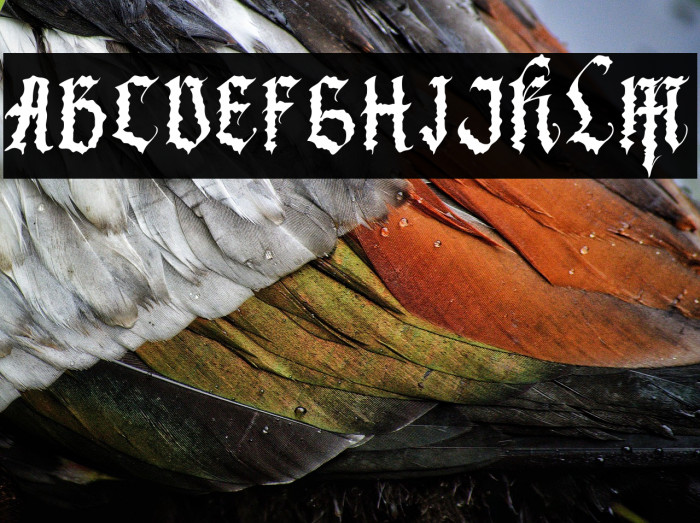 Black Metal Example 2