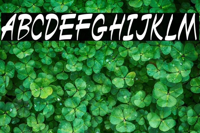 Black Miesee Example 1