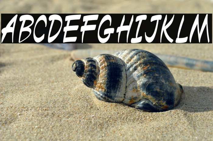 Black Miesee Example 2