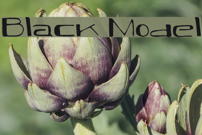 Black Model Font examples