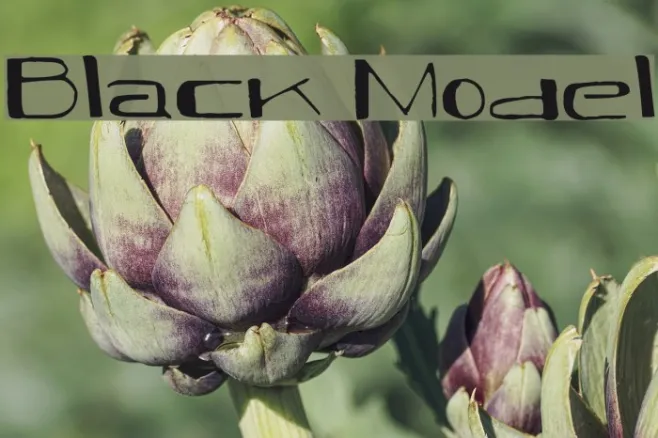 Black Model Example 1