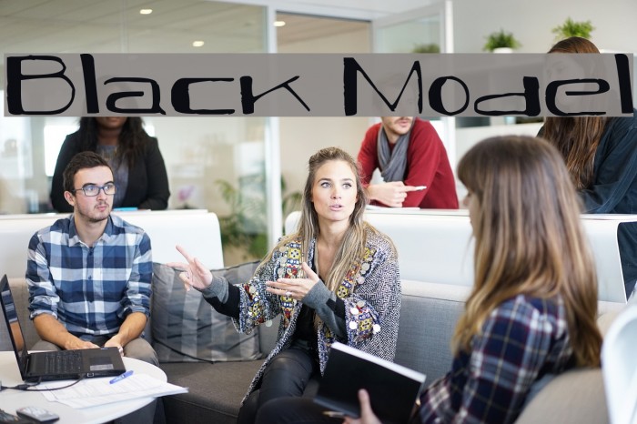 Black Model Font examples