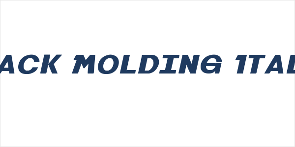 Black Molding Italic Logo