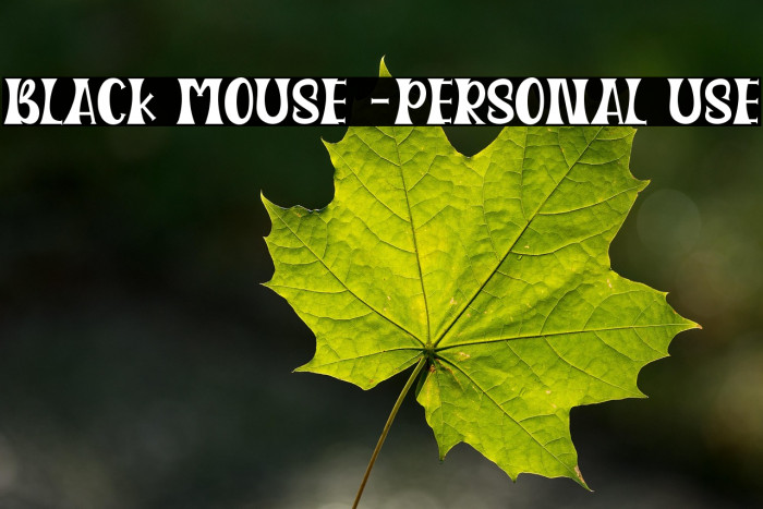 Black Mouse -Personal Use Example 1