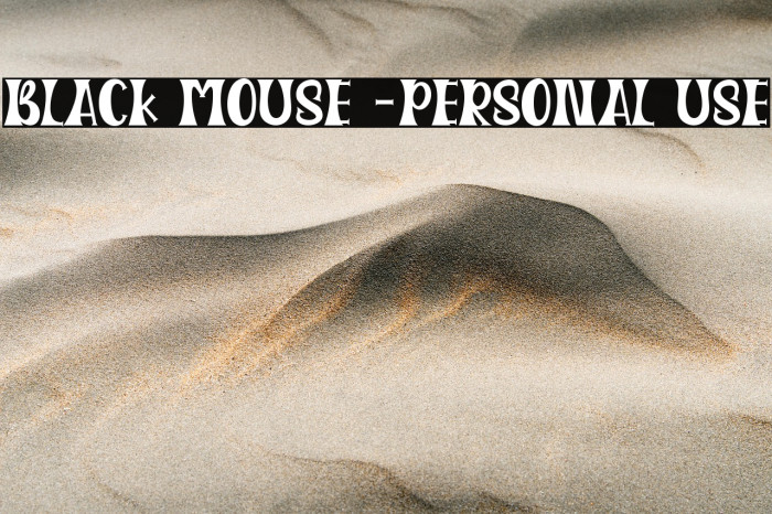 Black Mouse -Personal Use Example 3