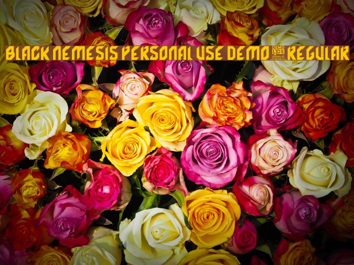 Black Nemesis Personal Use DEMO-Regular Fonte examples