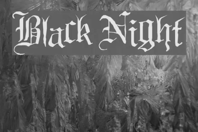 Black Night Polices examples