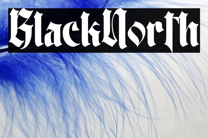 Black North Example 1