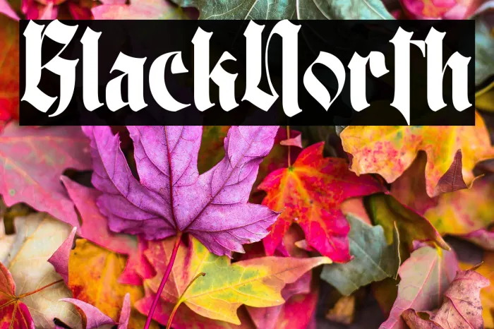 Black North Example 2