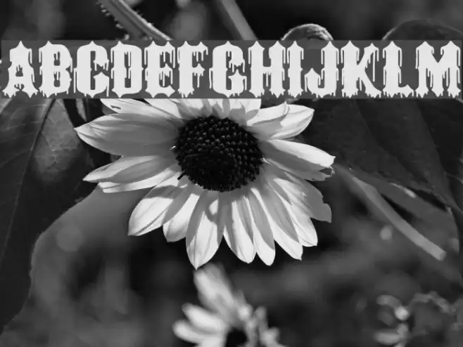 Black Order Font examples