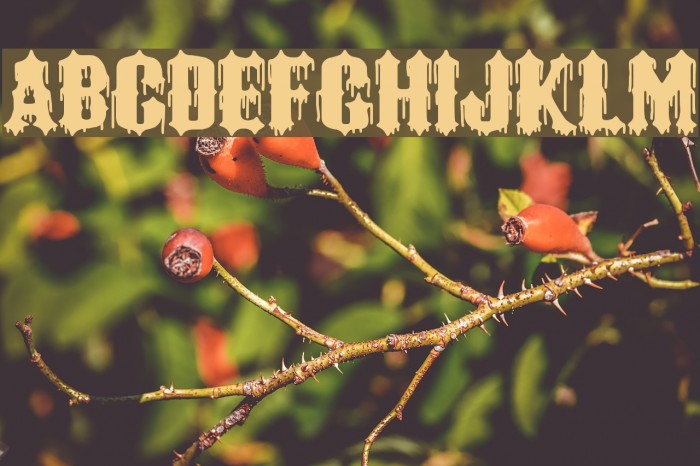 Black Order Example 3