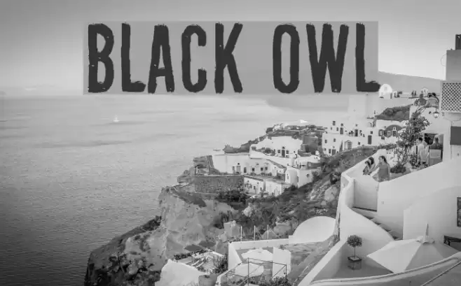 Black Owl フォント examples