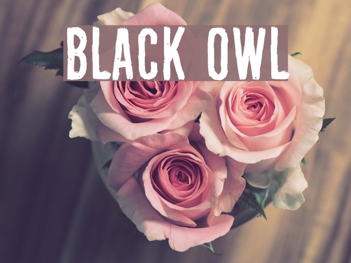 Black Owl Font examples