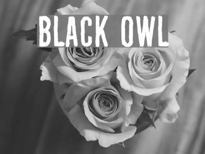 Black Owl フォント examples