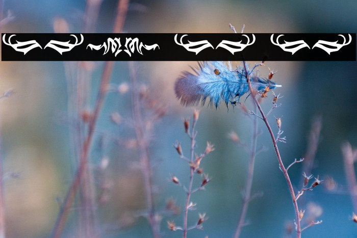 Black Panther Ornament Example 1